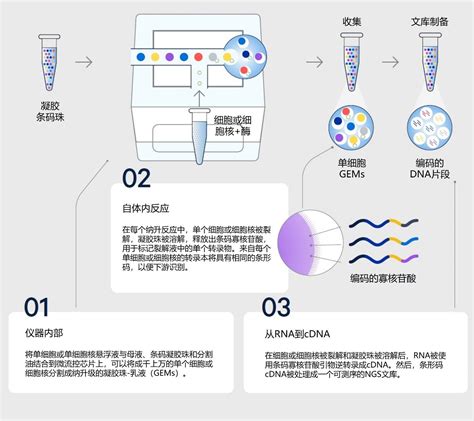 技术 了解单细胞测序实验 知乎