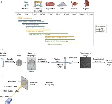 Overview On Structural Biology Methods A Selection Of Standard