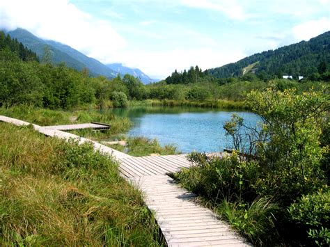 Visit And Explore The Zelenci Nature Reserve In Kranjska Gora, Slovenia