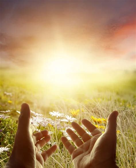 Hands to heaven Stock Photos, Royalty Free Hands to heaven Images | Depositphotos