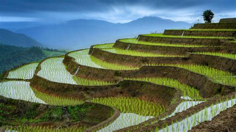 A Traveller S Guide To Doi Inthanon National Park Thailand