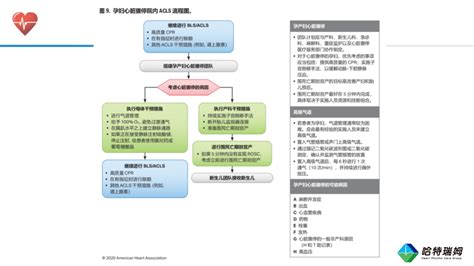 2020年美国心脏协会心肺复苏及心血管急救指南 搜狐大视野 搜狐新闻