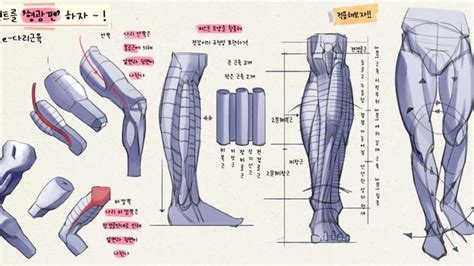 Pin By Ema On Referencias Para Dibujar In Anatomy Sketches