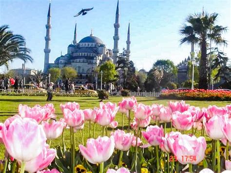 Istanbul Visite guidée de la Mosquée bleue et de Sainte Sophie avec