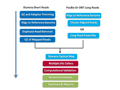 Structural Variation Detection Analysis Pipeline Next Generation