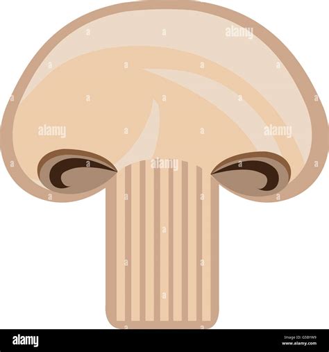 Slice Of Mushroomvector Graphic Stock Vector Image And Art Alamy