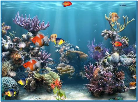 🔥 [50+] Aquarium Wallpapers for Windows 10 | WallpaperSafari