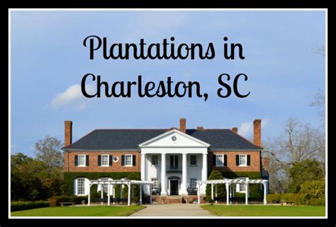 Best Plantations to Visit in the Charleston, SC Area | WanderWisdom