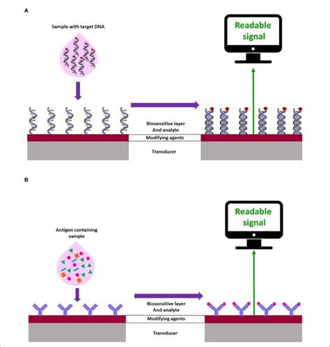 FIGURE Schematic Representation Of Electrochemical A Genosensors And