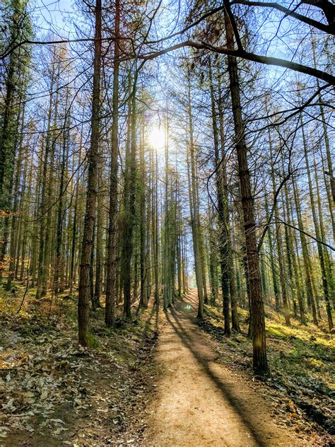 Forest of Dean, Gloucestershire, England [OC] [3036x4048] : r/EarthPorn