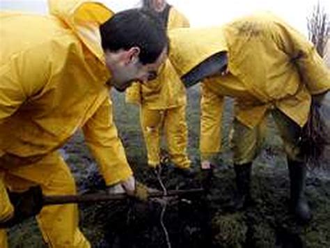 Comuneros De Santa Cruz Voluntarios Y Miembros De Adega Plantar N M S