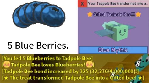 I Got Gifted Tadpole Bee With Only Blue Berries Roblox Bee Swarm