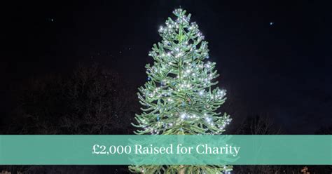 £2000 Raised From Charity Christmas Tree Dignity Pet Crematorium