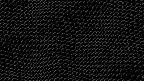 Black Snake Skin On Pink Snakeskin Hd Wallpaper Pxfuel