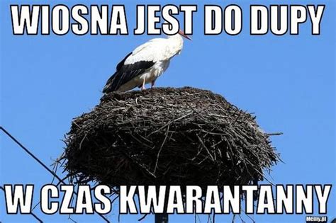 Dzie Wagarowicza Zobacz Mieszne Memy Na Pierwszy Dzie Wiosny