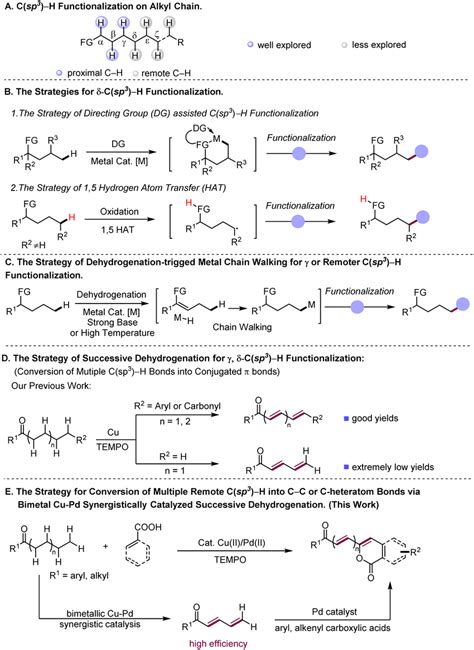 Development Of The Strategies For Functionalization Of Remote C Sp H