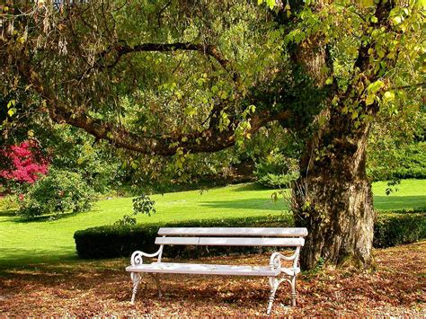 Park Wallpaper Hd