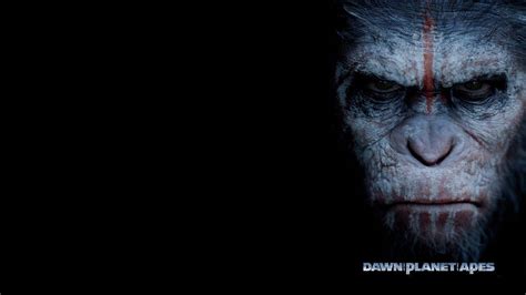 Dawn of the Planet of the Apes Wallpapers - Top Free Dawn of the Planet of the Apes Backgrounds ...