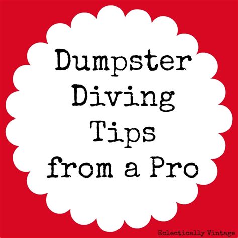 Dumpster Diving Tips from a Pro at Eclectically Vintage