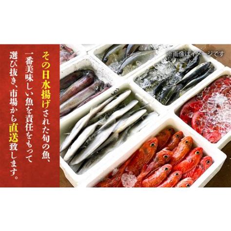 ふるさと納税 長崎県 五島市 【五島列島・直送】朝獲れ！鮮魚セット2kg 鯛福丸水産／五島市 Pdp008 5886971ふるさと