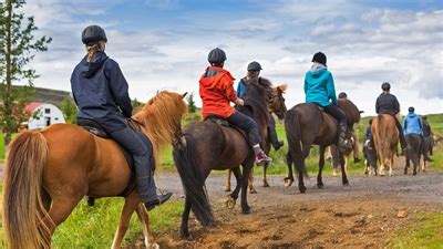 Horse Riding in Iceland : Family Fun : Nordic Visitor