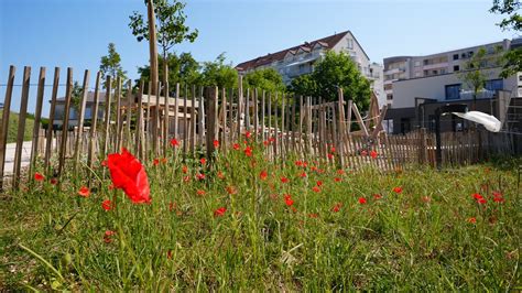 Ville de Dijon on Twitter A l occasion du pique nique champêtre