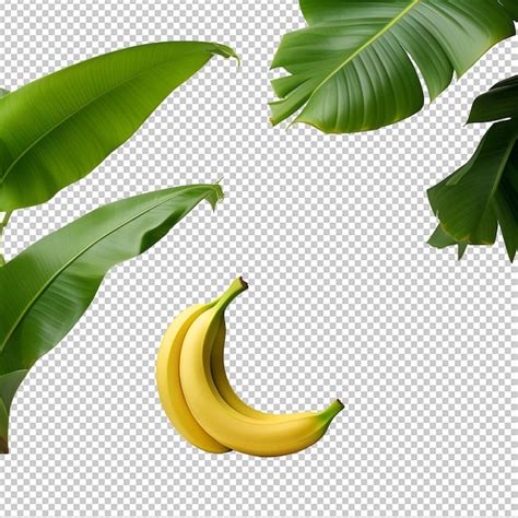 Premium Psd Free Psd Photo Of Bananas Isolated On A Transparent