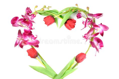 Heart Of Lillies Stock Photo Image Of Beauty Isolated 17842132