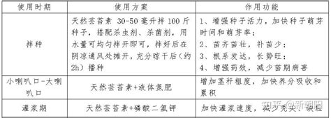 芸苔素：玉米防“秃顶”！就用天然芸苔素 知乎