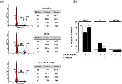 Effect Of Ck On Pdgf Bb Induced Cell Cycle Progression In Vsmcs A