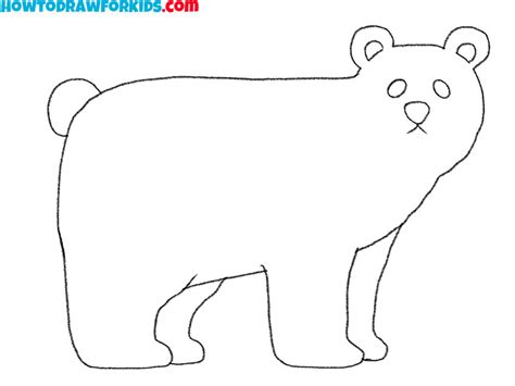 Realistic Polar Bear Drawing