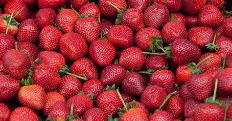 stroberi fakta nutrisi  manfaat kesehatan