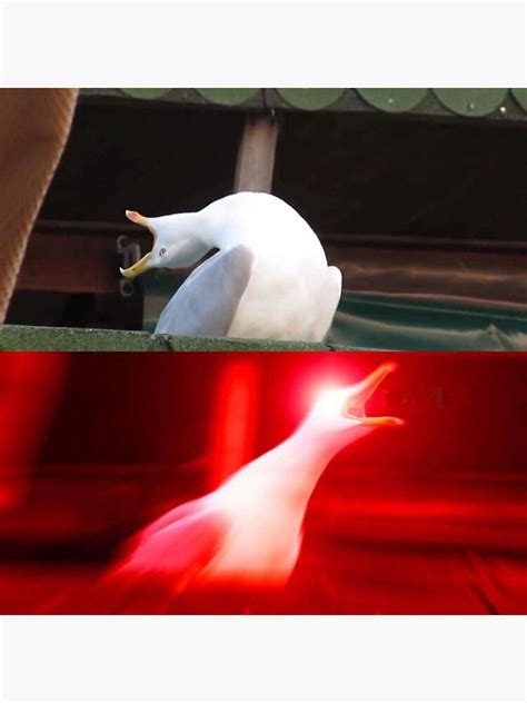 Seagull Meme Template - Printable Word Searches