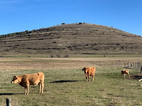 Castilla La Mancha Abona Casi Millones De Euros A Agricultores Y