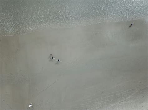 Maili Holt Of Leak Pictures | Download Free Images on Unsplash