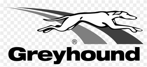 Greyhound Logo Png Transparent - Greyhound Logo Png, Png Download ...