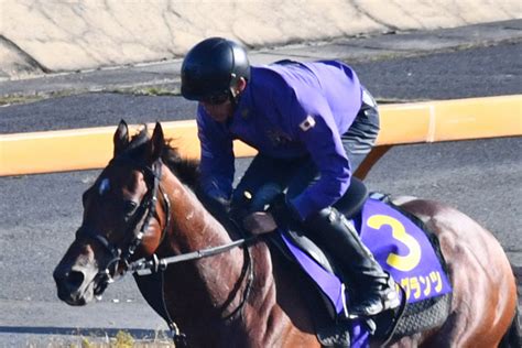 【菊花賞・厩舎直送】サトノグランツが狙う親子3代〝菊〟制覇 「できれば良馬場で競馬を」 競馬ニュース・特集なら東スポ競馬