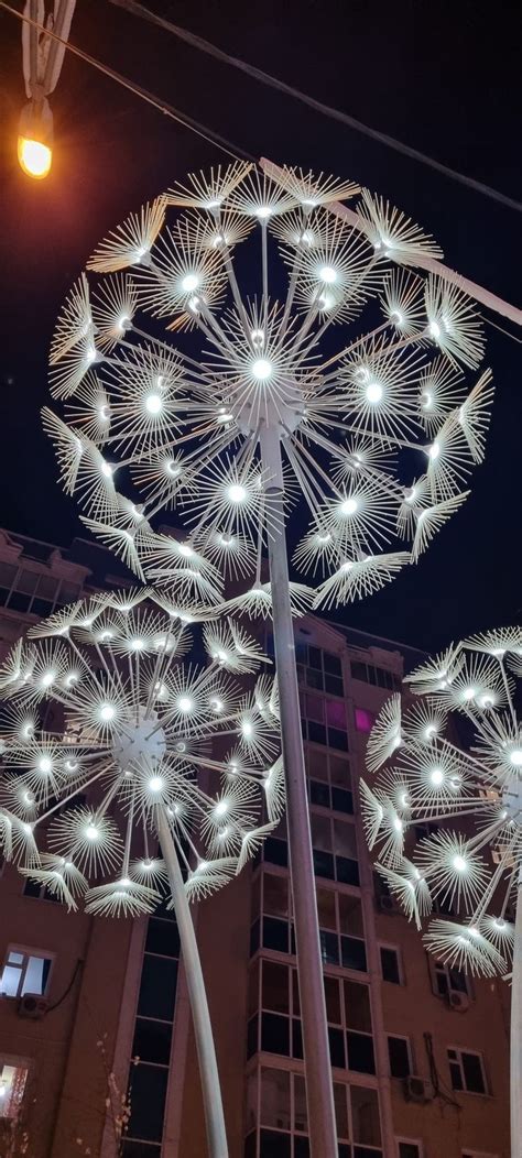 Dandelions Уличное освещение Освещение Цветы