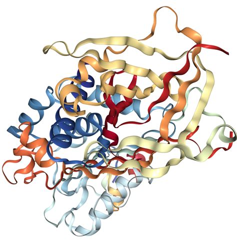 Vitronectin Protein Overview Sino Biological