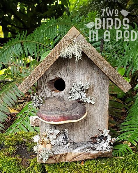 Forest Birdhouse Unique Bird Houses Birdhouses Rustic Bird Houses