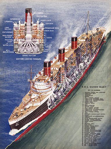 Cutaway Diagram Of RMS Queen Mary Stock Image Look And Learn