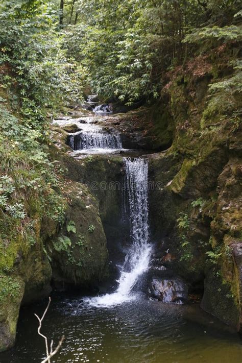 Cachoeira De Geroldsau Rio Grobach Baden Baden Na Floresta Negra