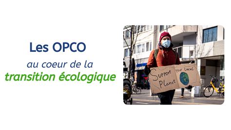 Les OPCO au coeur de la transition écologique Média des pros de la