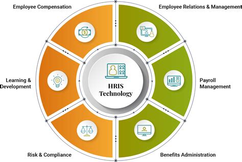 Human Resource Outsourcing & HR Management Services | Armanino