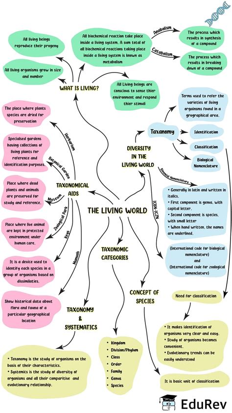 Mindmap The Living World Notes Edurev Mind Map Biology Notes