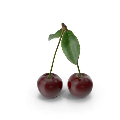 Cherry Png Images And Psds For Download Pixelsquid S120149027
