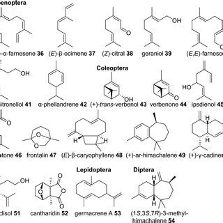 Examples Of Volatile Terpene Semiochemicals And Derivatives In