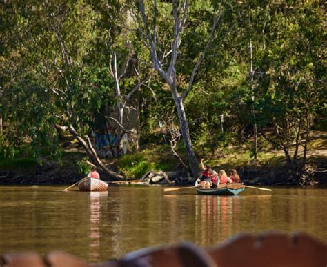 Fairfield Boating: Unique Rowing & Kayaking on the Yarra