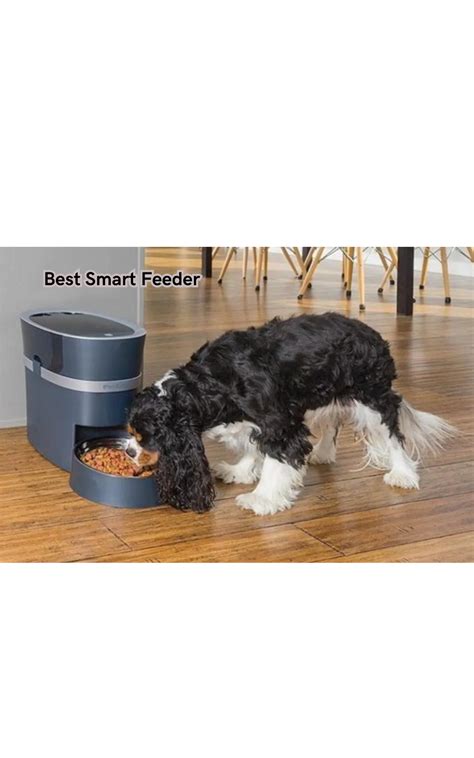 Get Ready To Upgrade Your Pet S Mealtime Best Smart Feeder