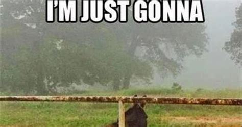 I Have Seen The Whole Of The Internet Park My Ass